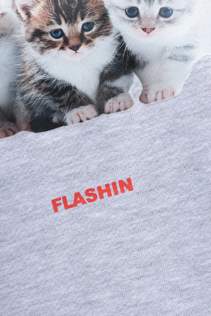 Свитшот FLASHIN