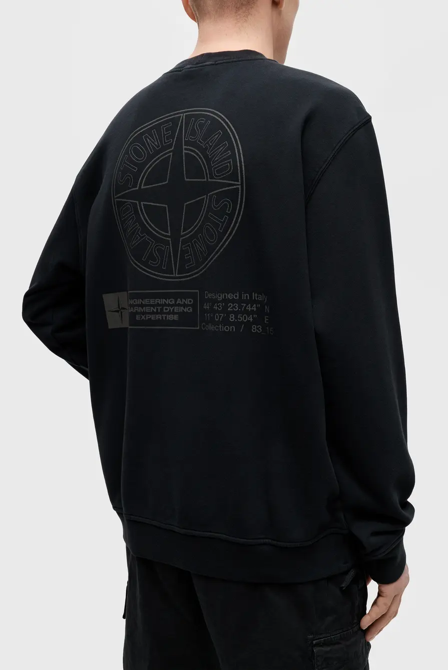 Толстовка Stone Island