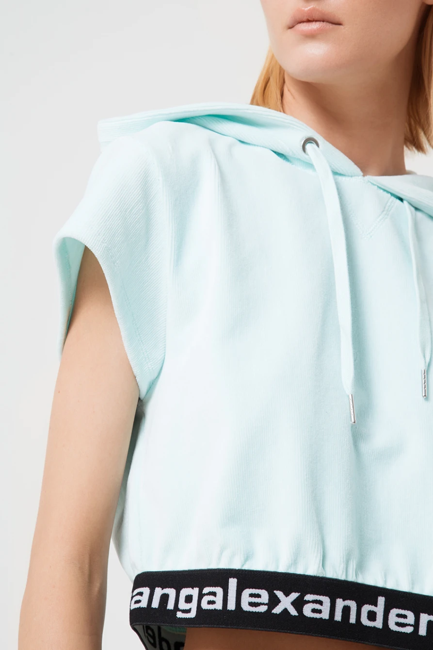 Худи Alexander Wang