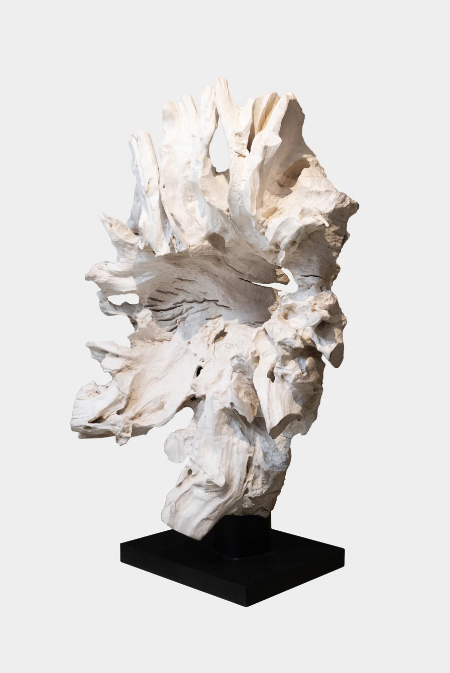 Предмет декора Sanjaya Art Wood