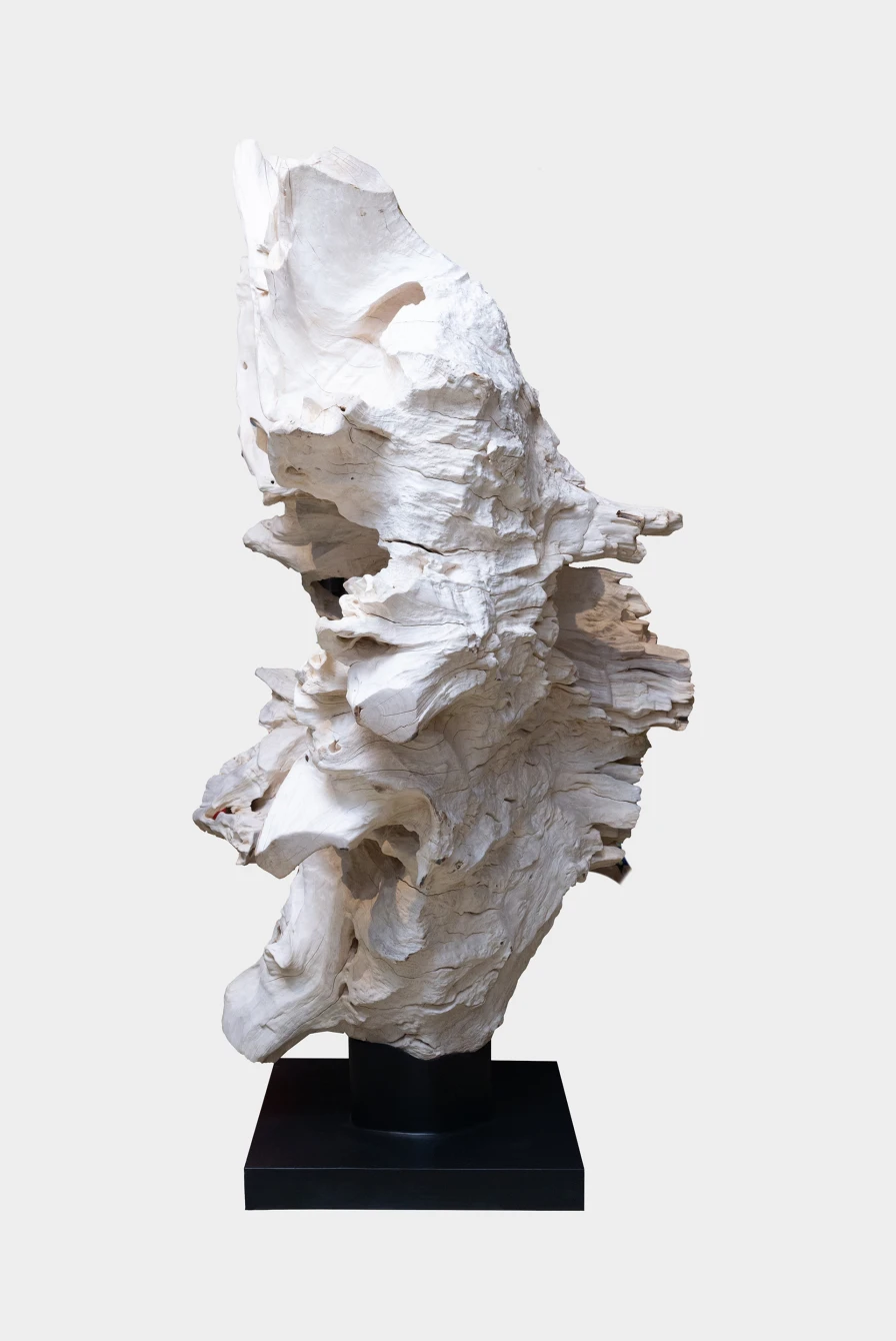 Предмет декора Sanjaya Art Wood