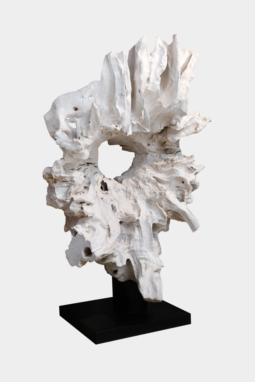 Предмет декора Sanjaya Art Wood