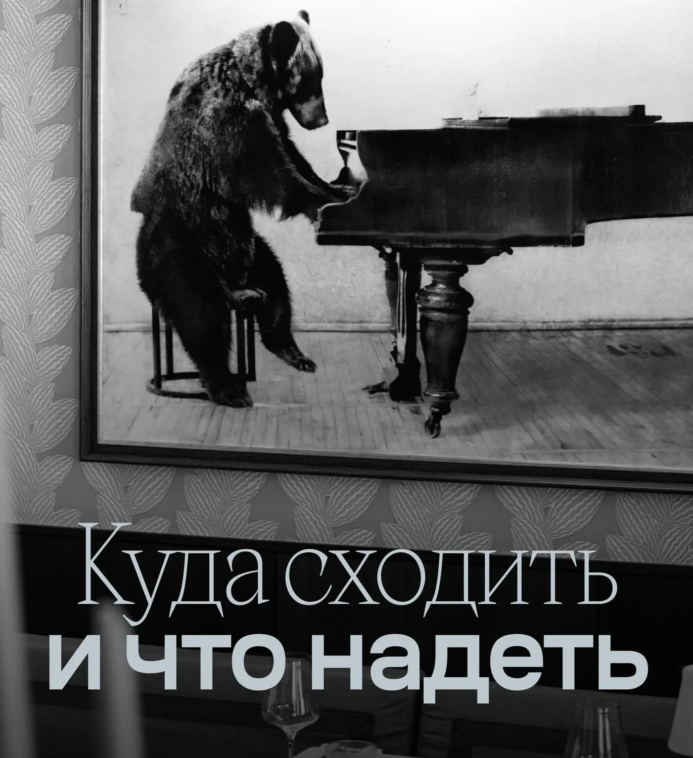Куда сходить и что надеть. null