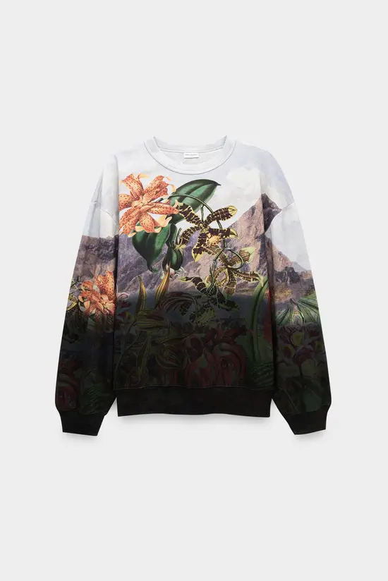 Толстовка Dries Van Noten