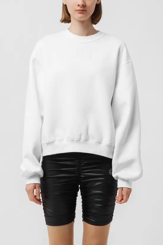 Толстовка Alexander Wang